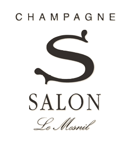 SALON_LOGO_PRUH